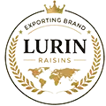 Lurin Company