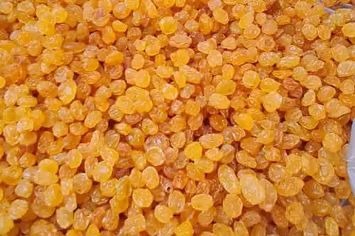 Buy Organic Golden Raisins
